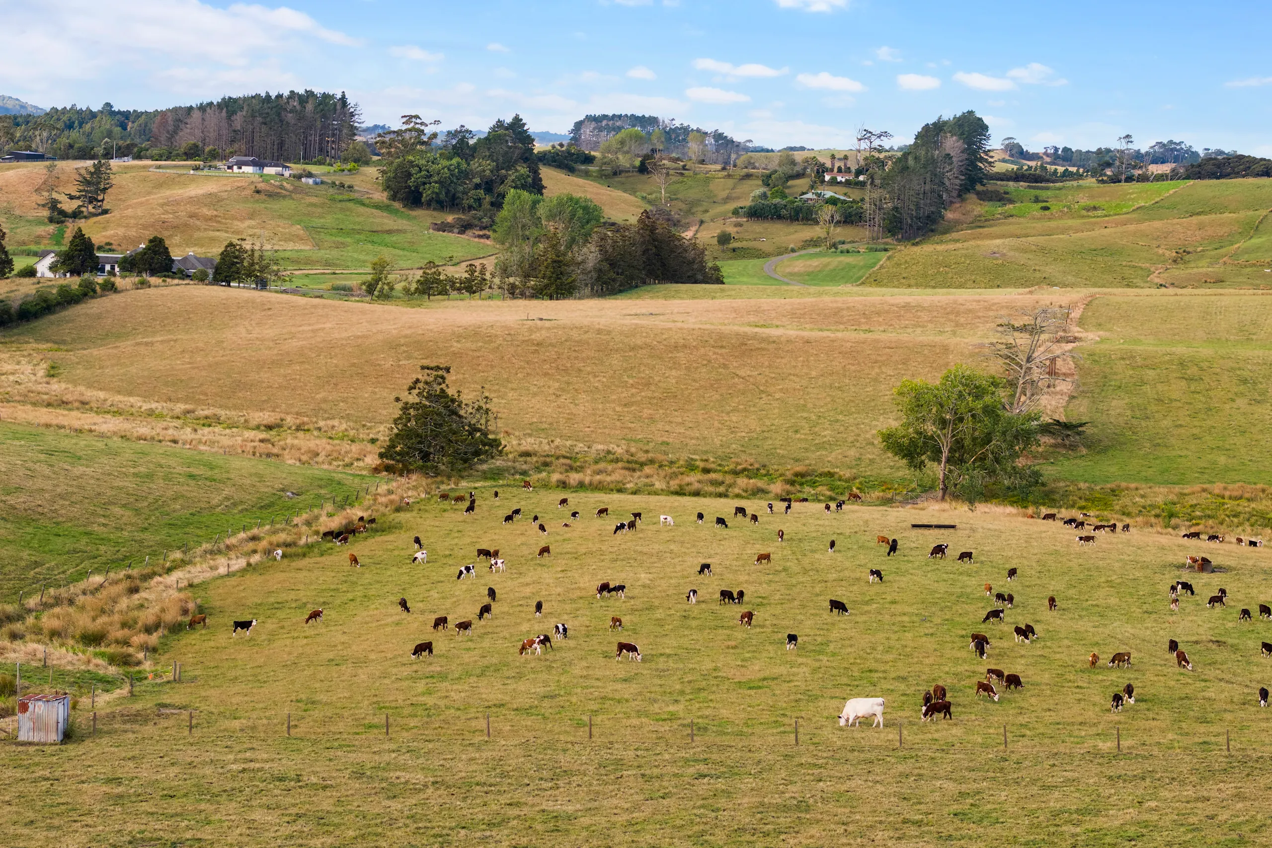 206 Ireland Road, Waitoki, Rodney