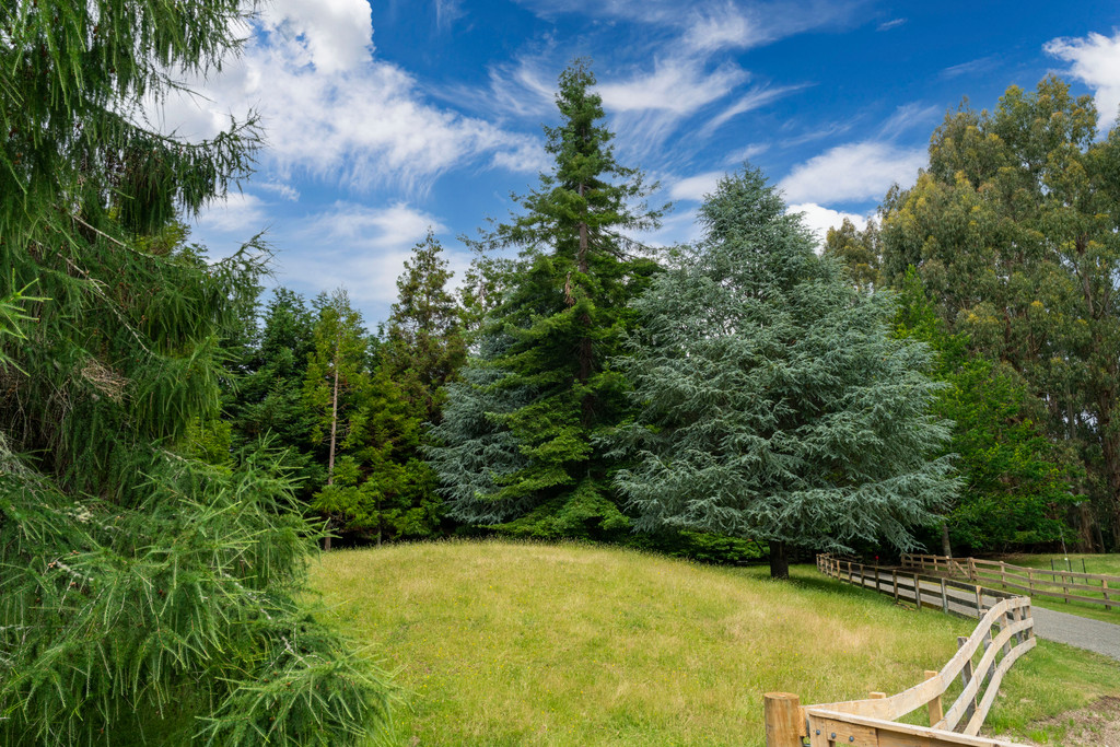 Privacy and Serenity