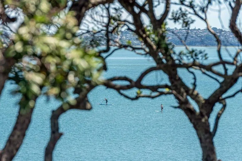 Affordable Blue Chip Waterfront
