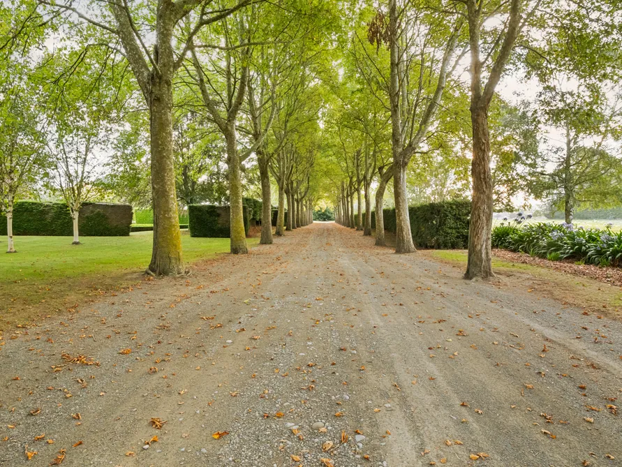 Unique Lifestyle with International Acclaim