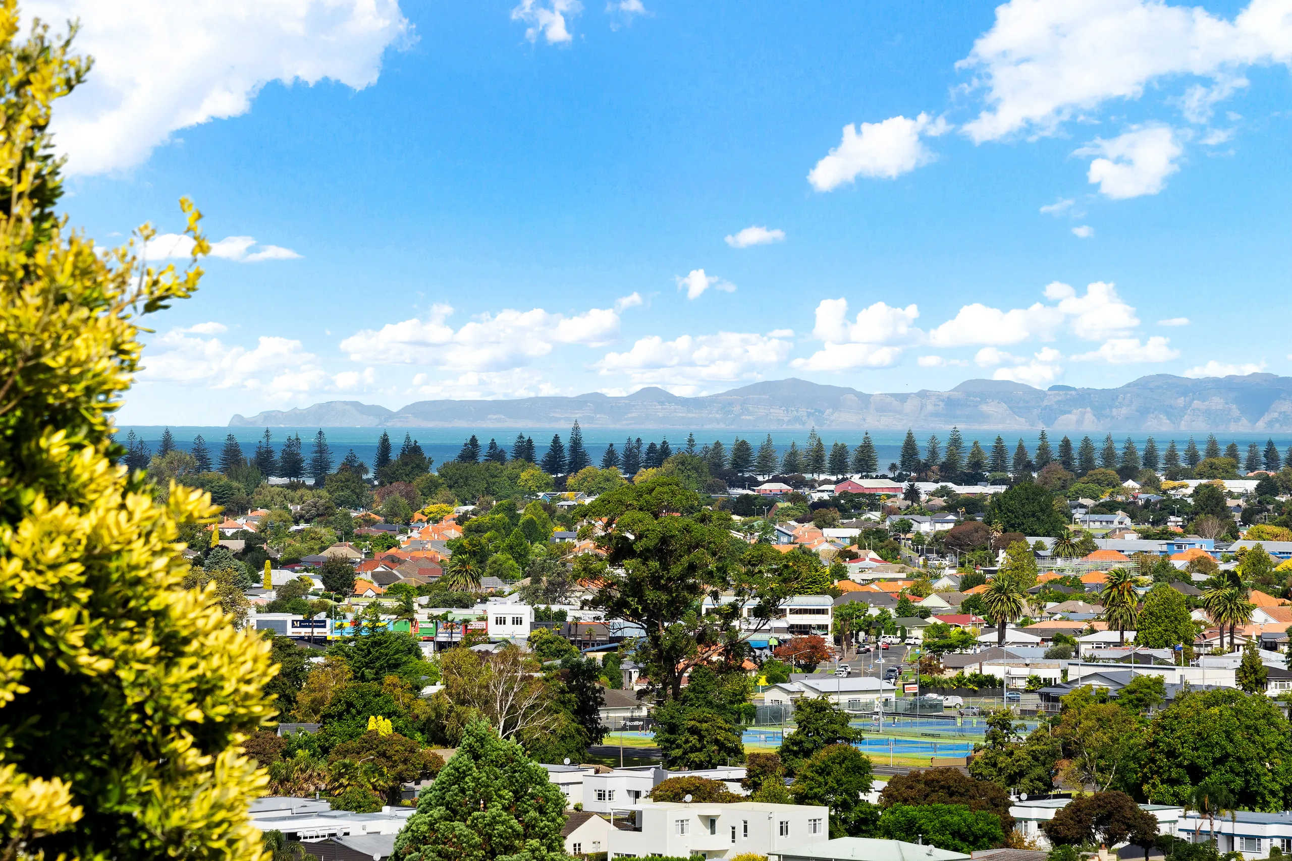 33 Simla Terrace, Hospital Hill, Napier