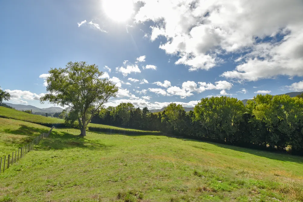Design your future in Waikite Valley