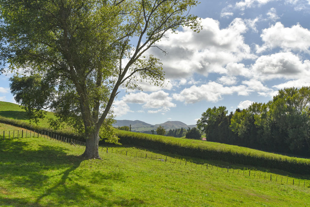 Design your future in Waikite Valley