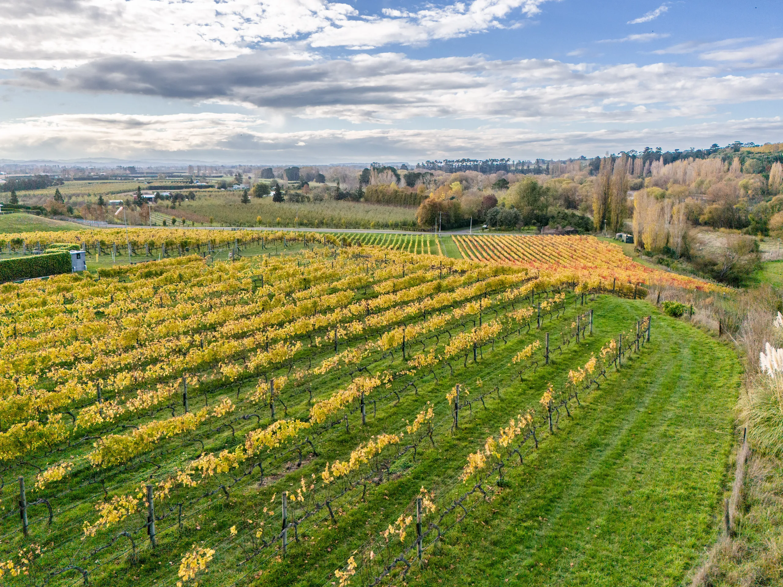 56 River Road, Havelock North, Hastings