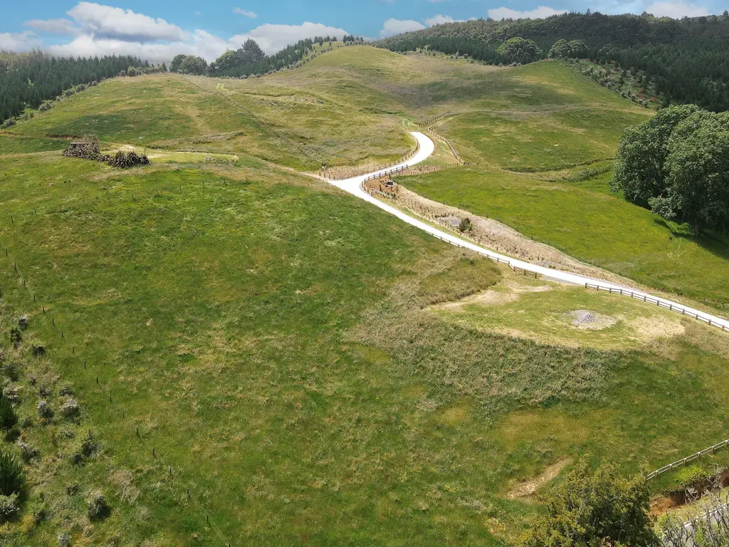 RORE01737 (5)