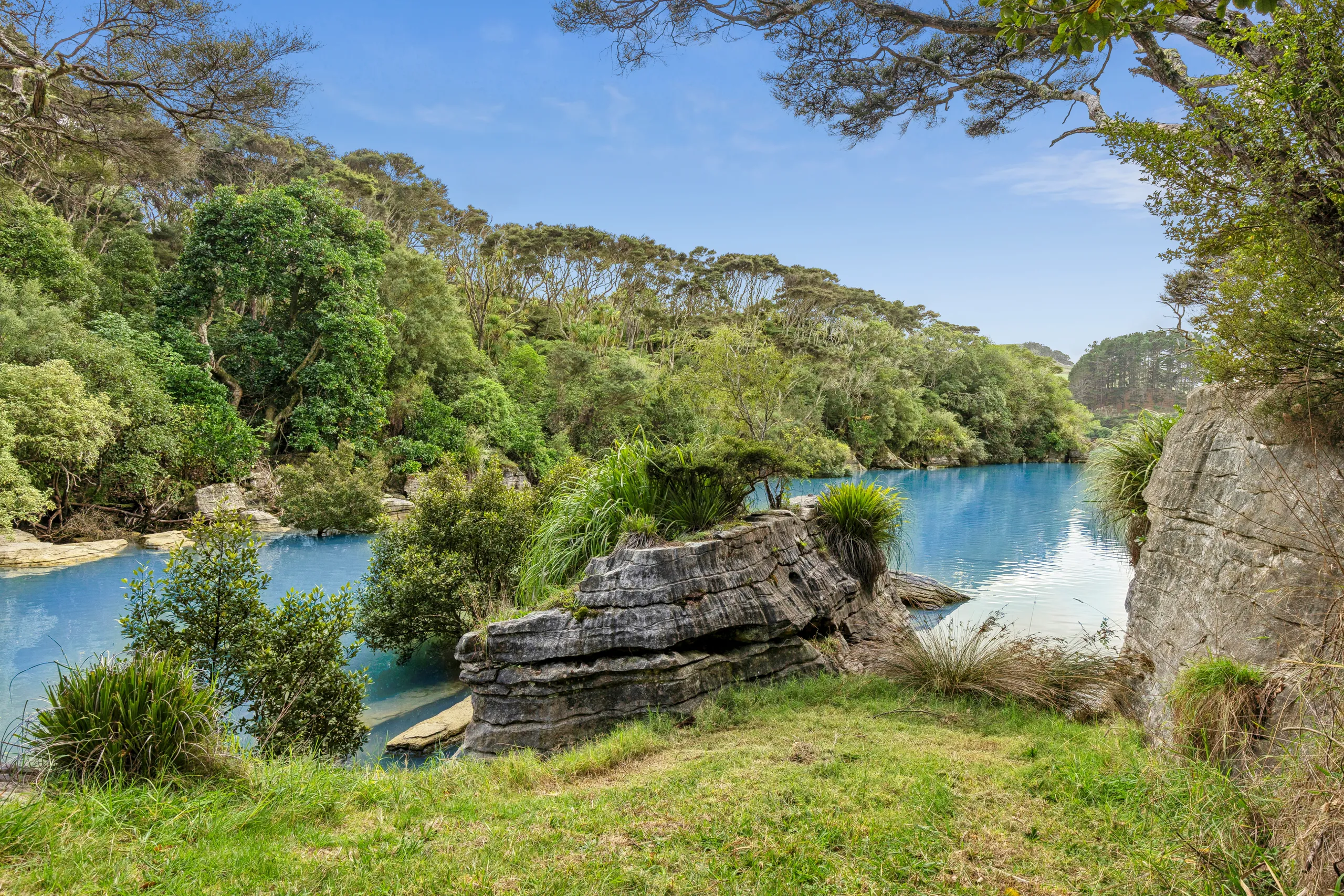 503 Te Akau Wharf Road, Te Akau, Waikato