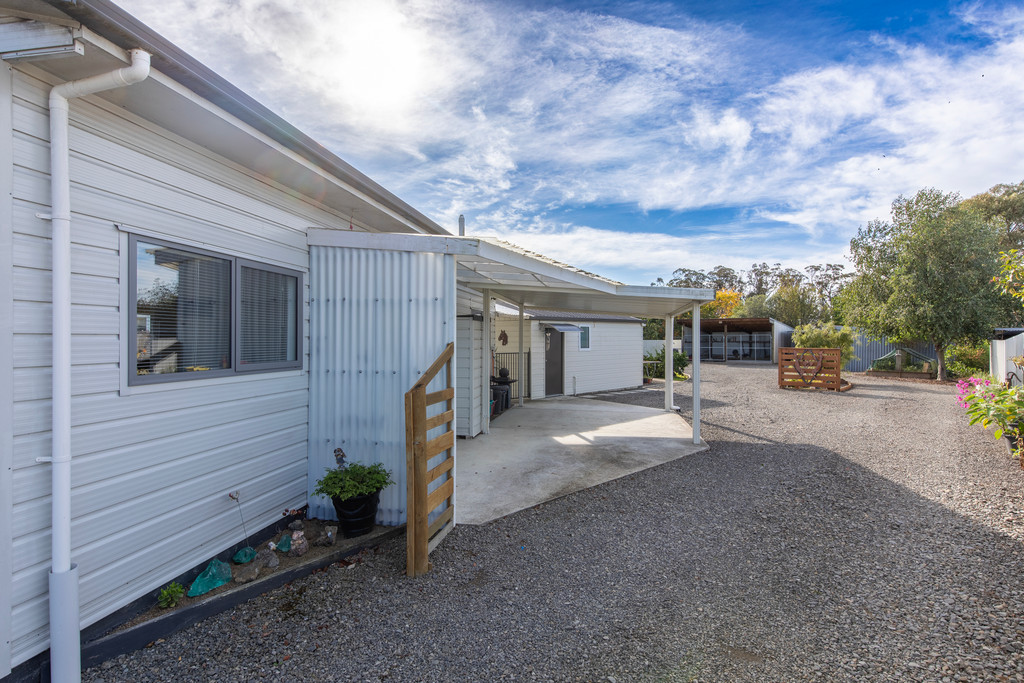 When Shed Space Meets Smart Living!