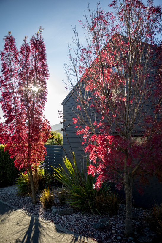 Elevated North Facing Home in Jack’s Point