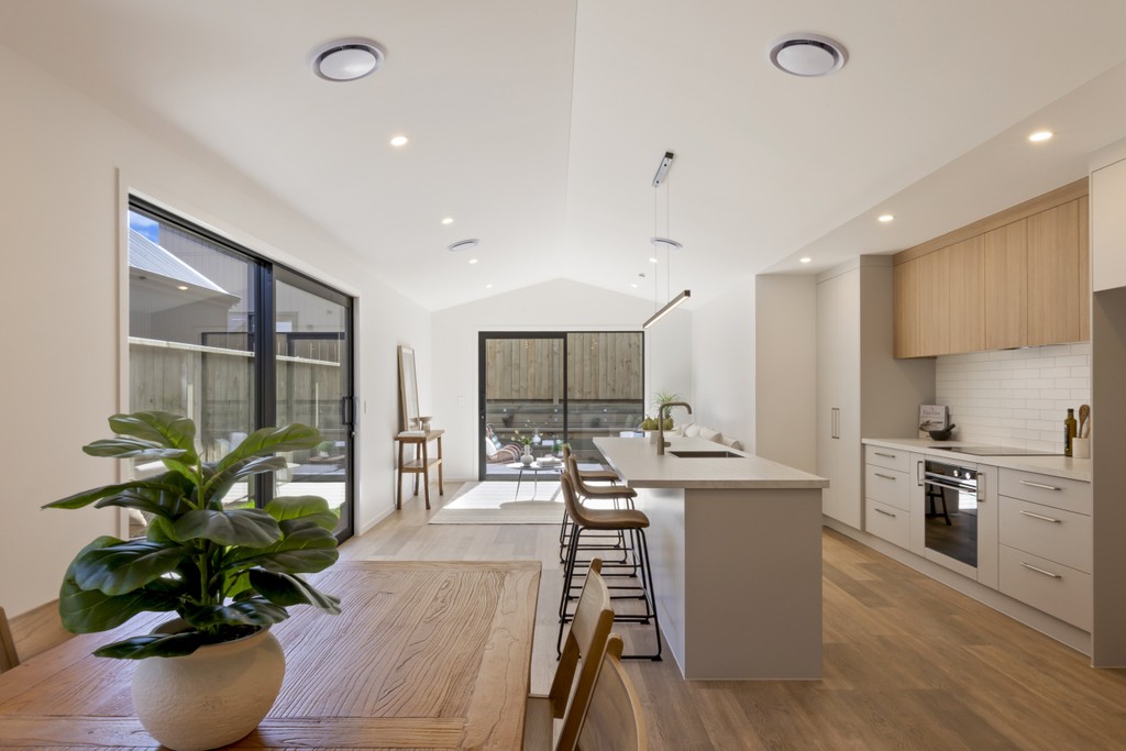 Brand-New, Contemporary Home and Income