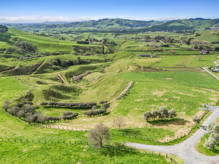 Stunning Views and Serenity, Live The Kiwi Dream!