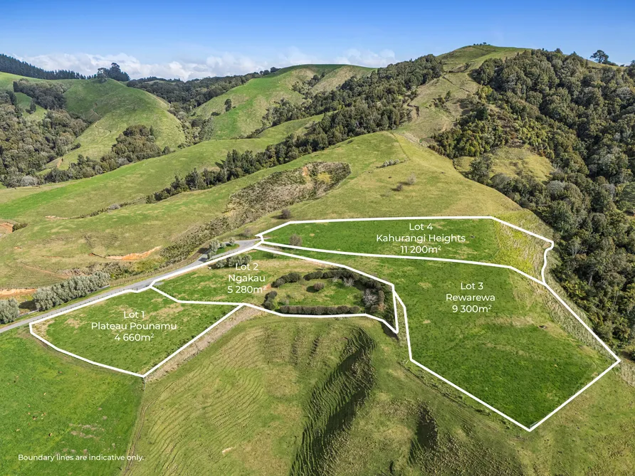 Magical Views and Serenity, Live The Kiwi Dream!