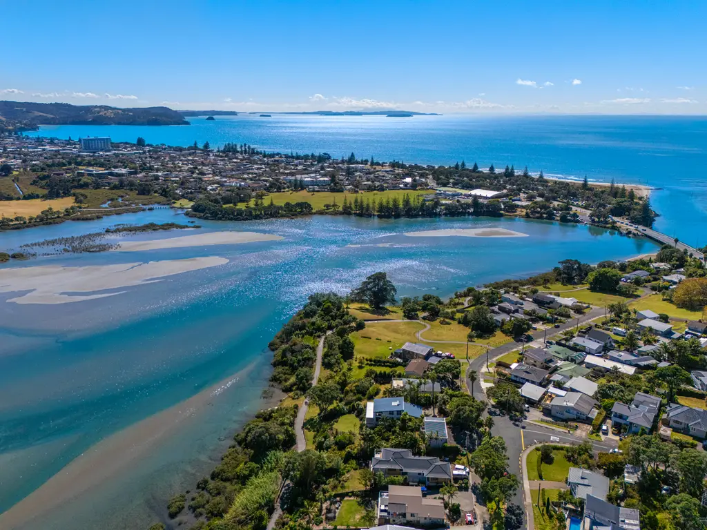 DJI_20250320114605_0738_D