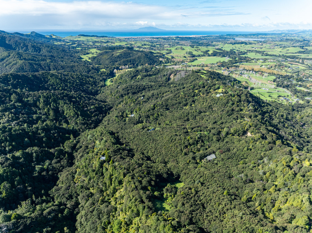 A Life Immersed In native Forest - Marunui