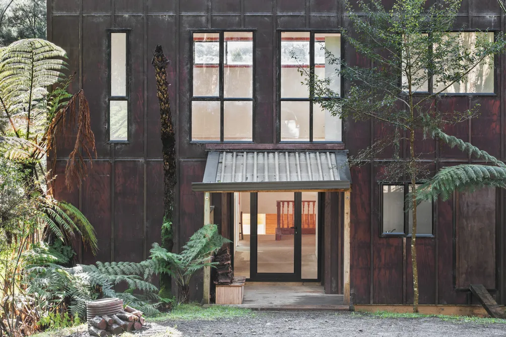 A Life Immersed In native Forest - Marunui