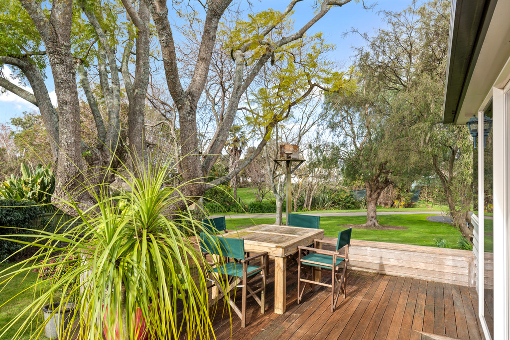 Whispering Trees and Birdsong in Willow Drive