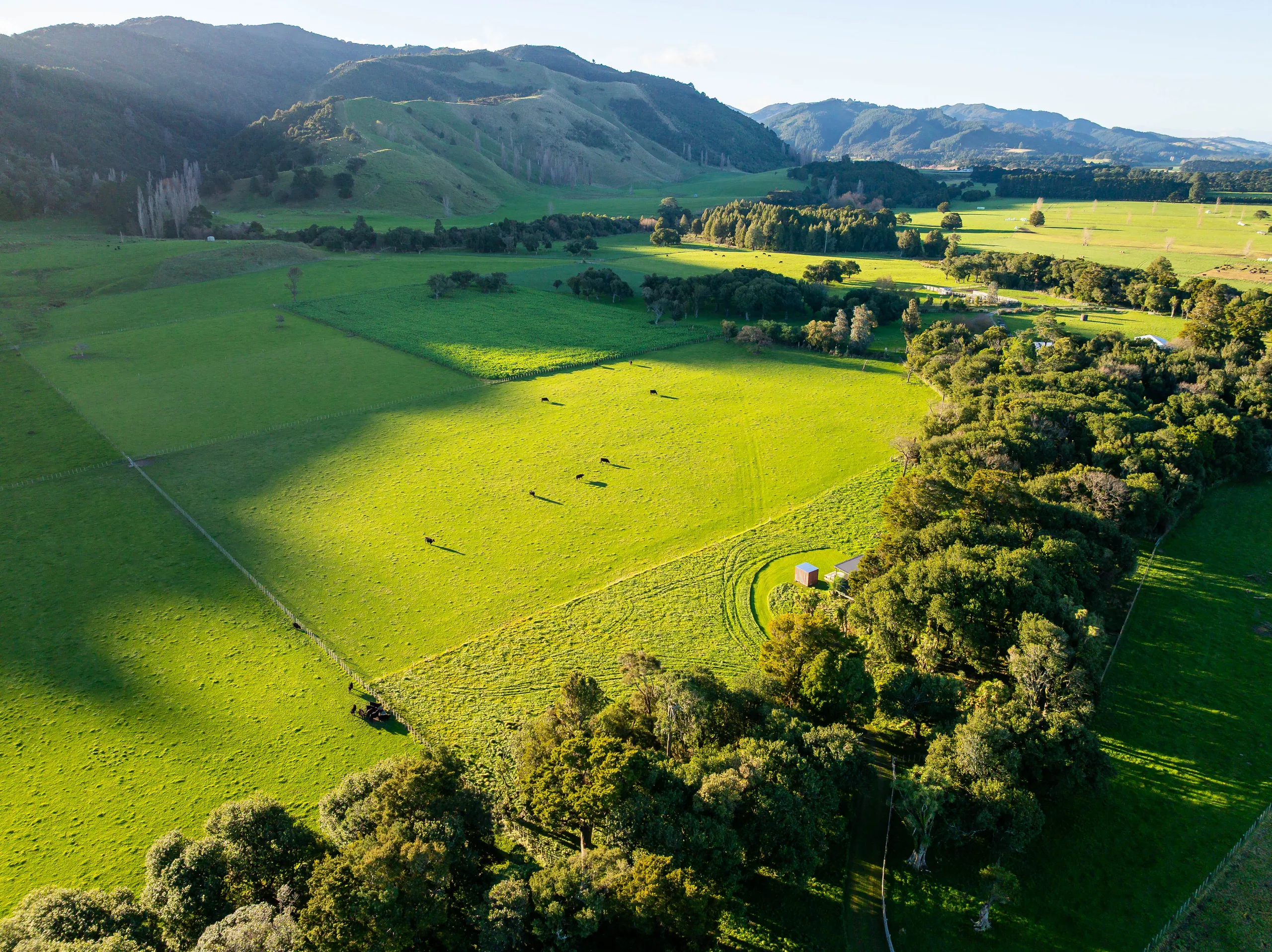 194D Underhill Road, Greytown, South Wairarapa