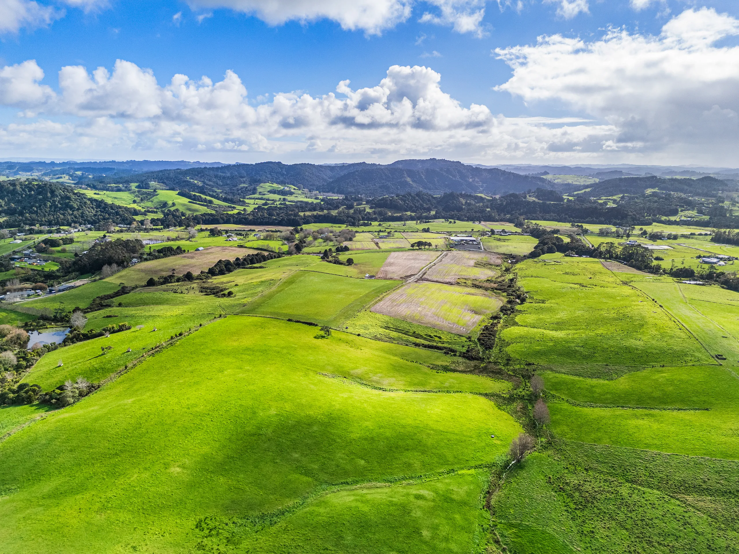 Scott Farm, Waitoki Road, Waitoki, Rodney