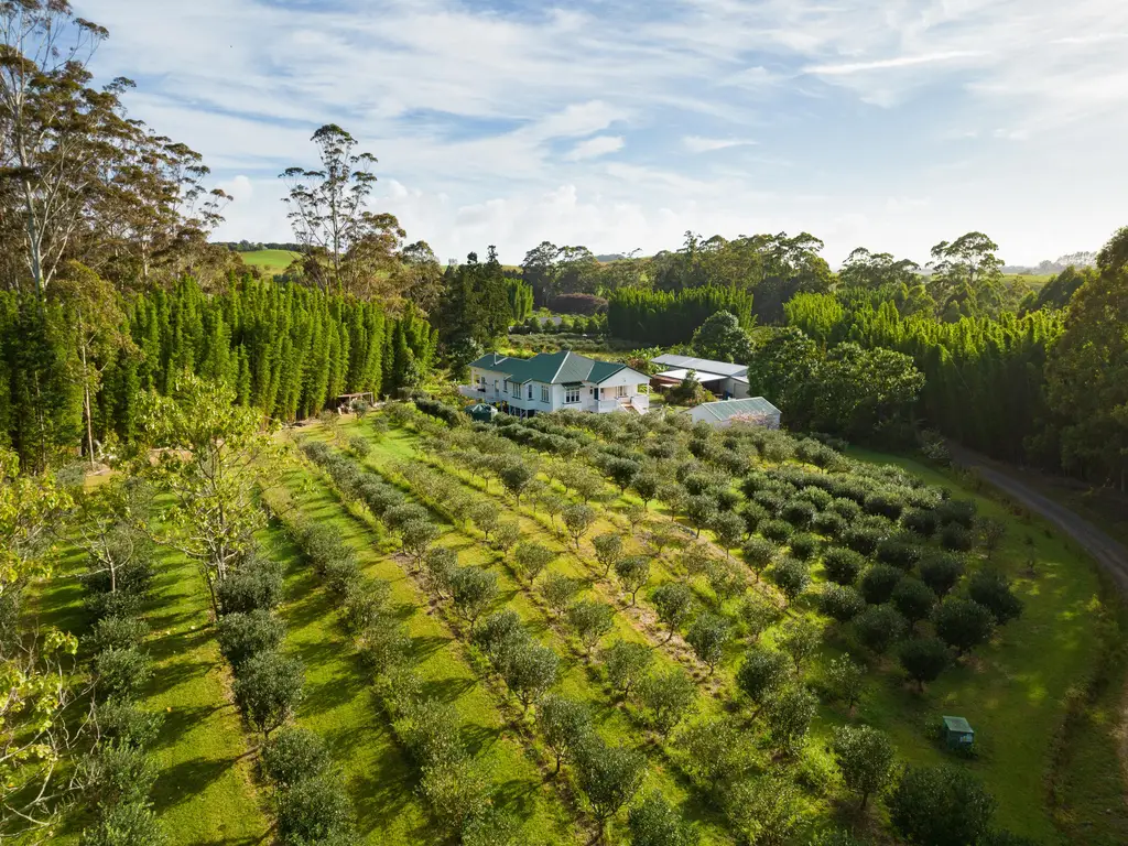70 Pukeko Lane-12