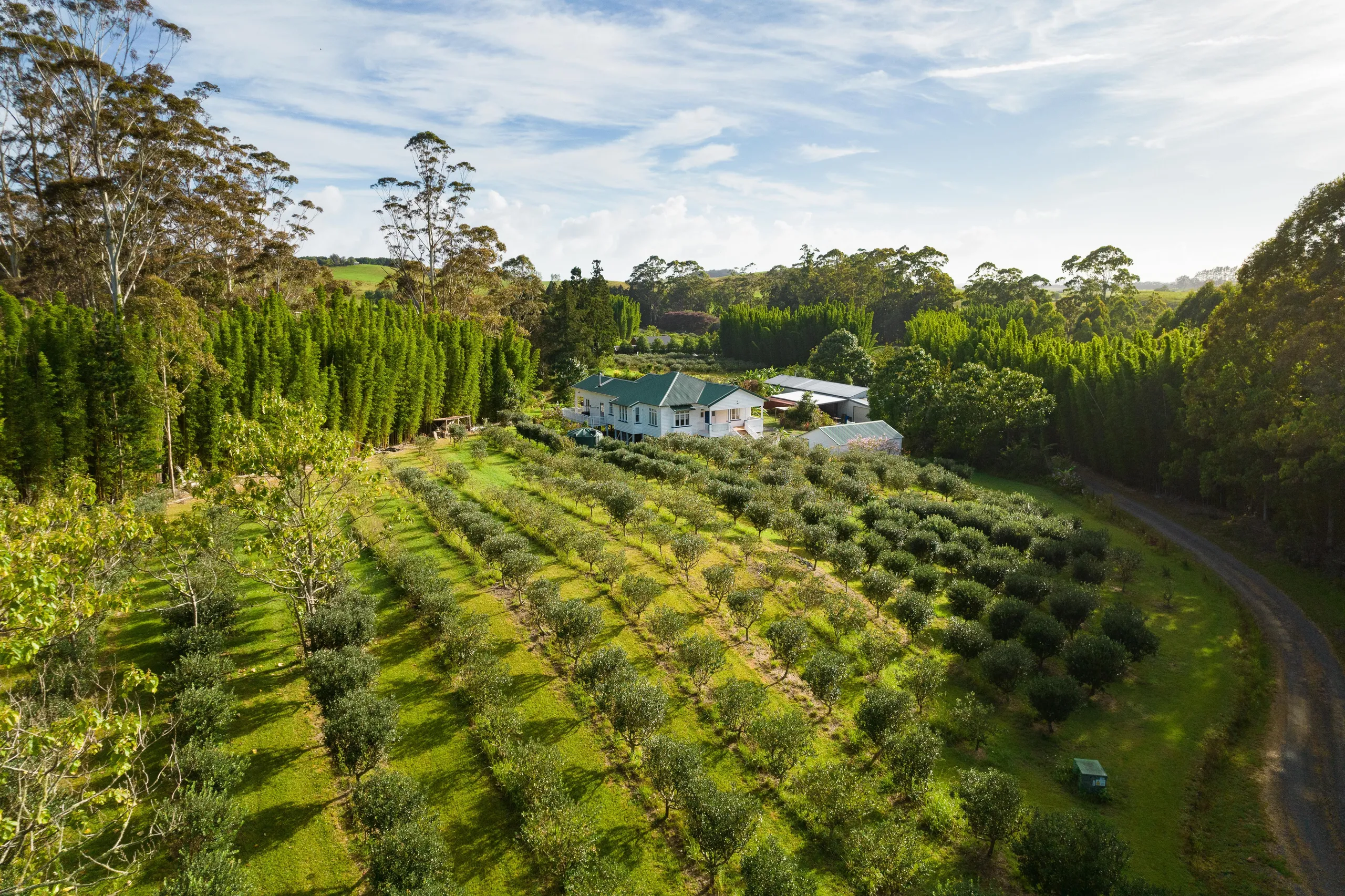 70 Pukeko Lane, Kerikeri, Far North