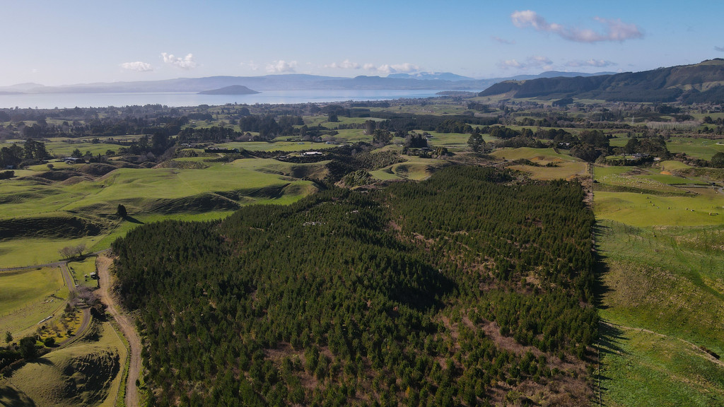 Subdivision + Forestry Investment