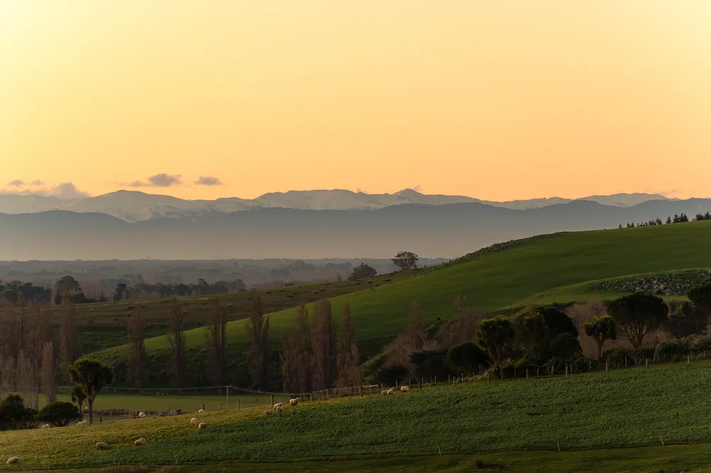 An Exceptional Section, A Remarkable Setting