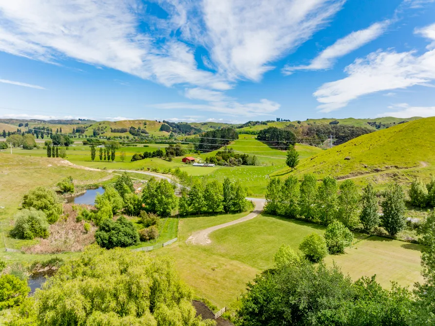 Tranquil Lifestyle Section in Puketapu