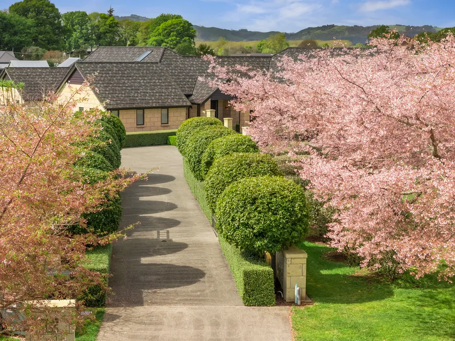 Timeless Design, Luxury Build, Space and Serenity!