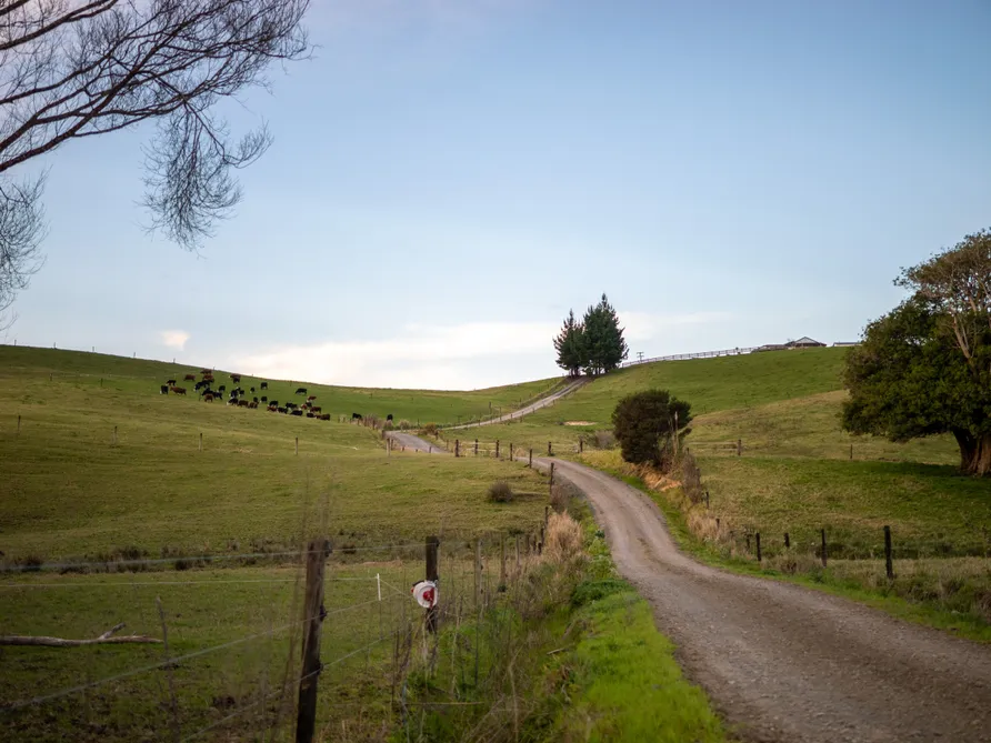 Escape to the Country