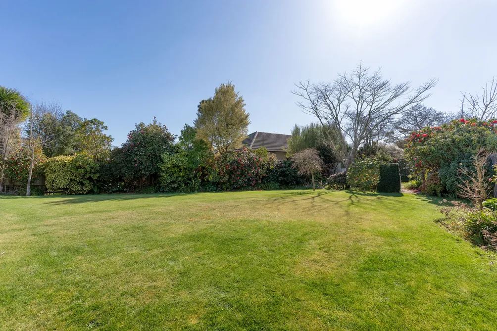 Rarely Available Blue Chip Opportunity