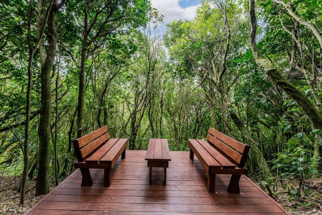 Expansive Flat Lawn, Secluded Bush Retreat