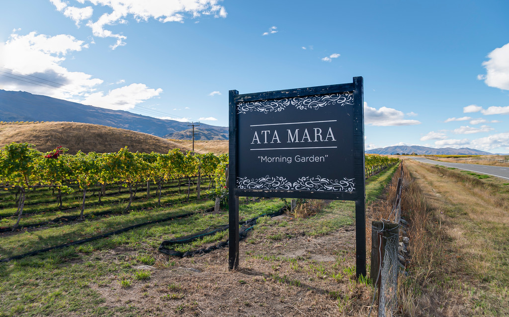 Reputable and Established Central Otago Vineyard