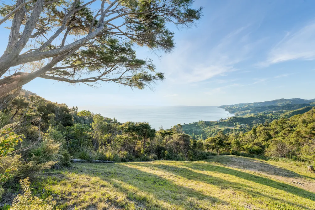 Rise Above It All at Tapu Rise
