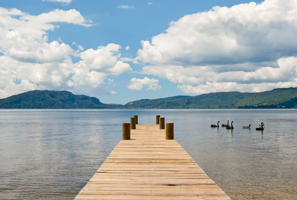 Lawn to Lake Living In Hauparu Bay