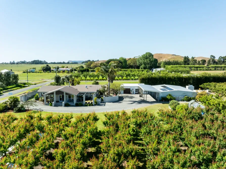 Income – Producing Lifestyle Orchard