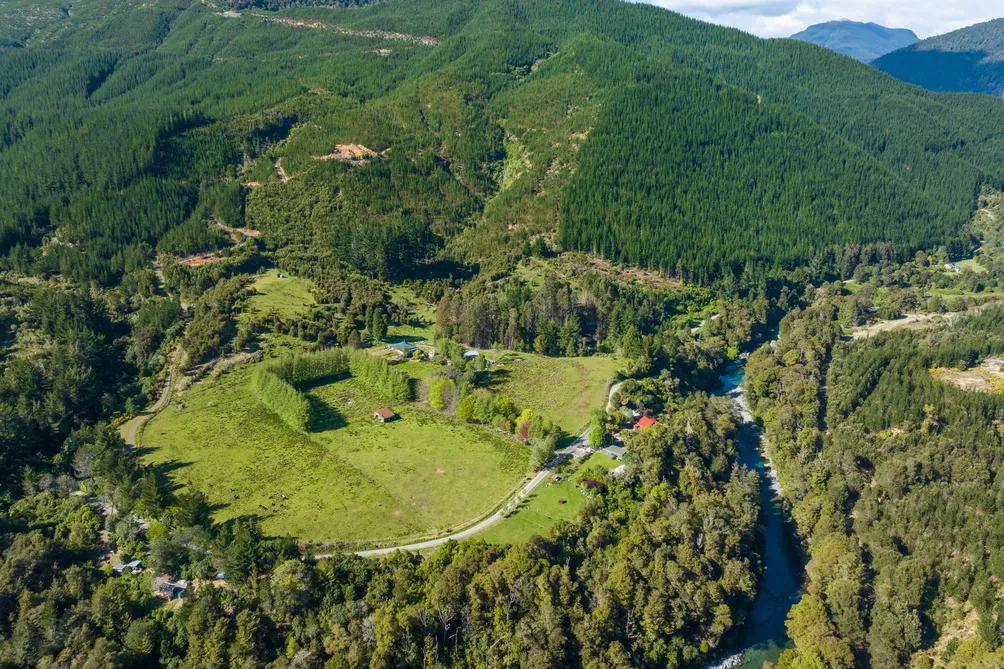 Vendors on the move - must be sold!