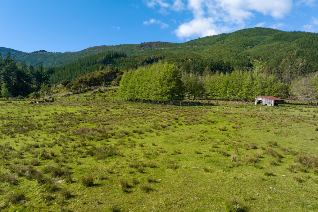 Off The Beaten Track