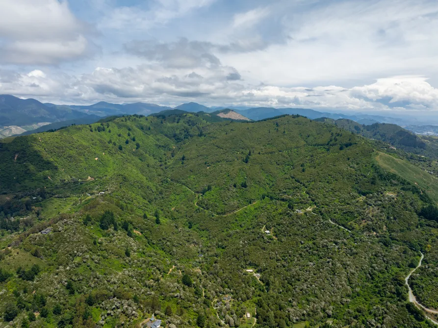 Unique Coastal Lifestyle Estate