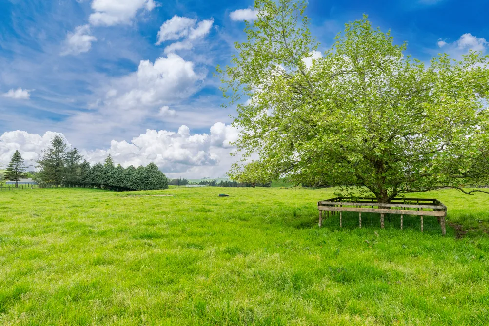 Four Rural Lots Available Titles are Issued