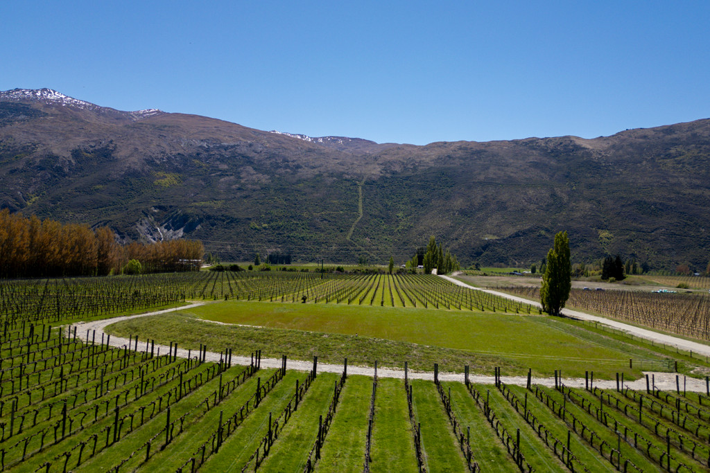 Lifestyle Living at Its Best