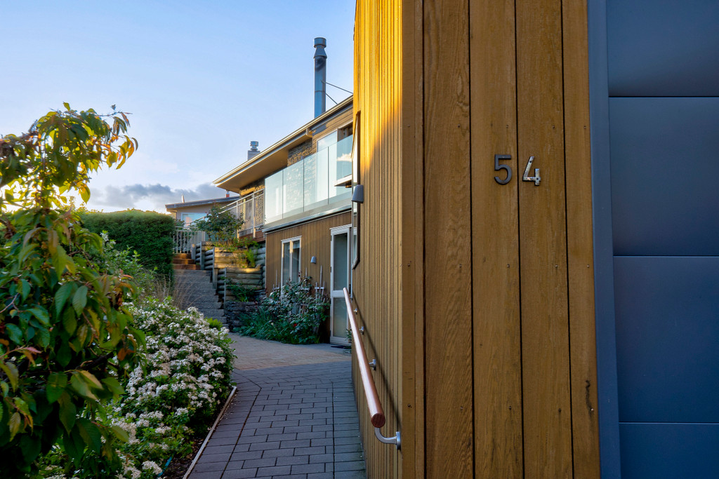 Picture Perfect on Panorama