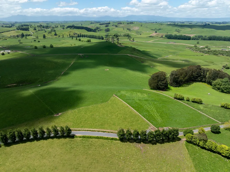 Lifestyle Sections in the Waikato Heartland