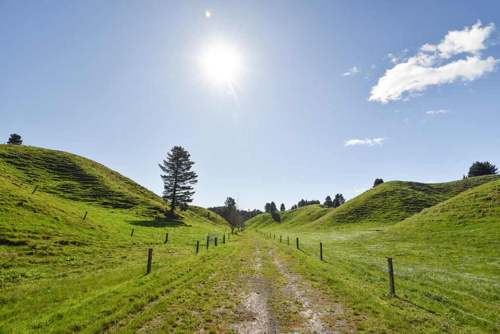 Established Dairy Support