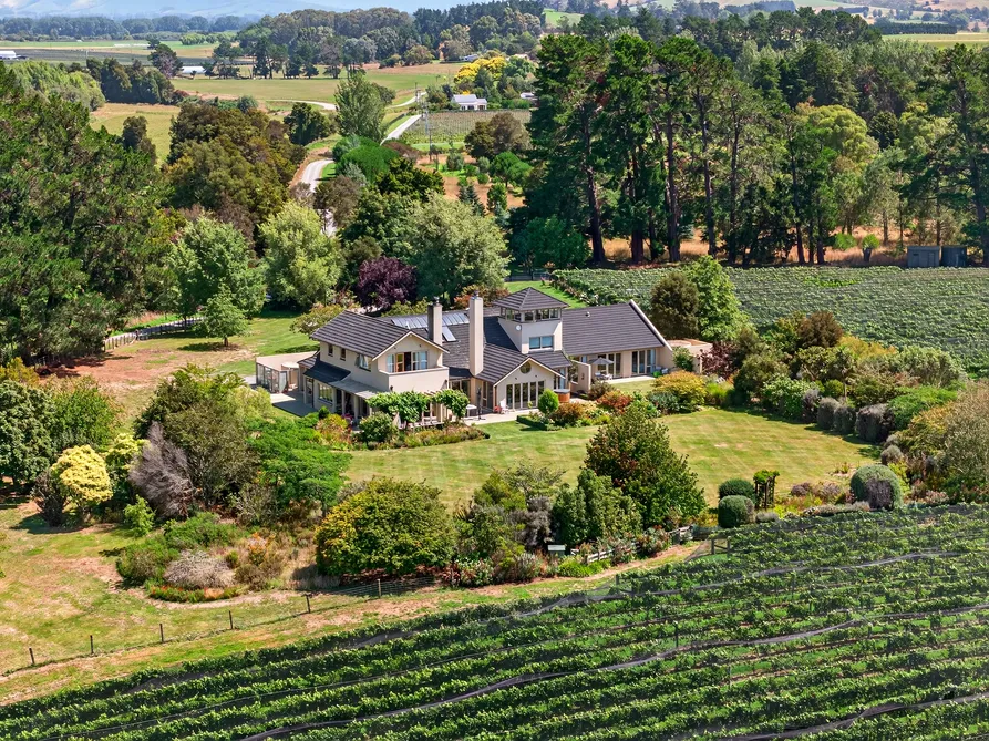 A Life Amongst the Vines
