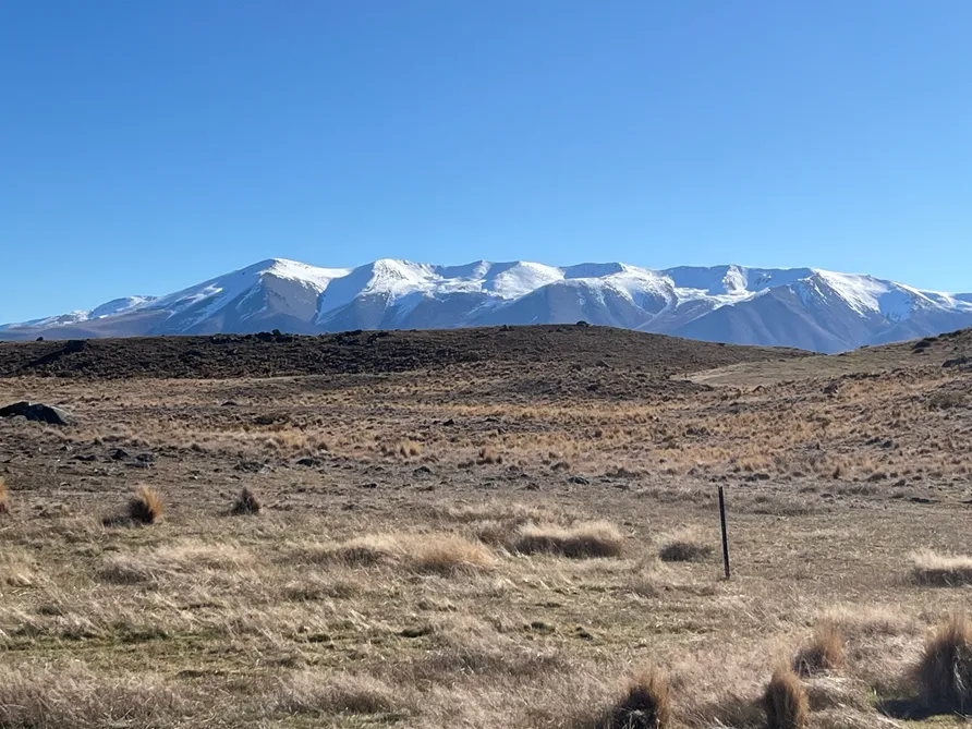 Lot 2 - The Wilderness Block