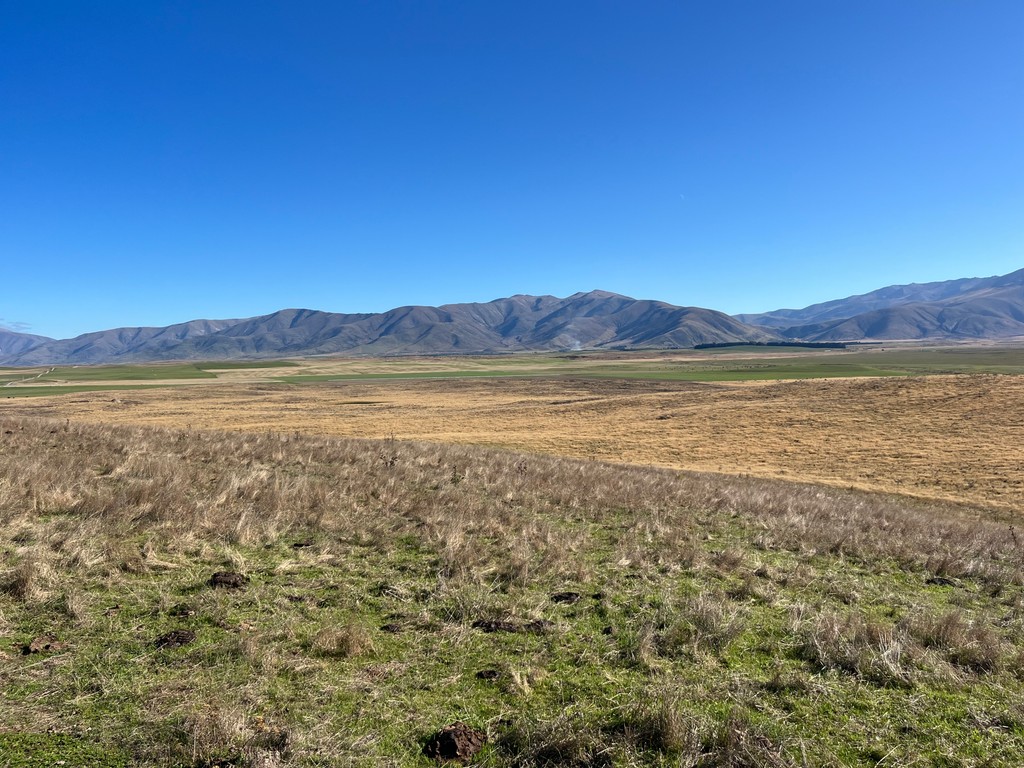 Lot 5 - The Hill Block