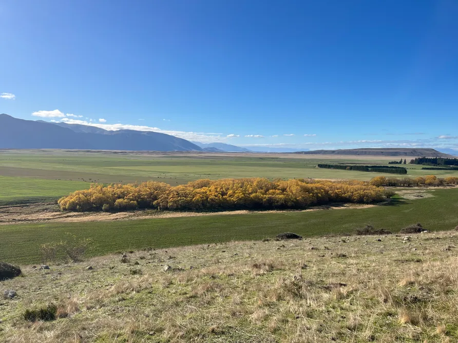 Lot 5 - The Hill Block