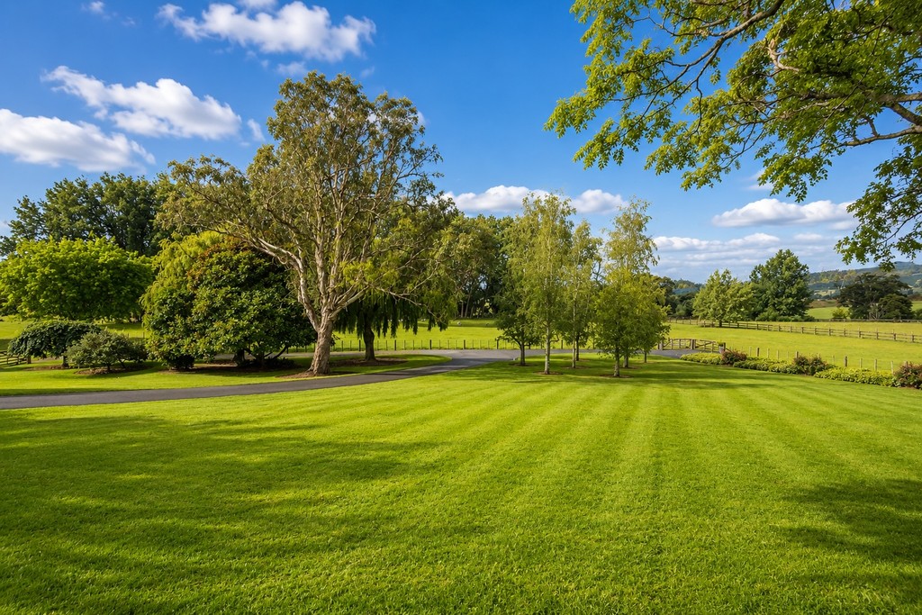 Elevated Country Living in the Heart of Drury