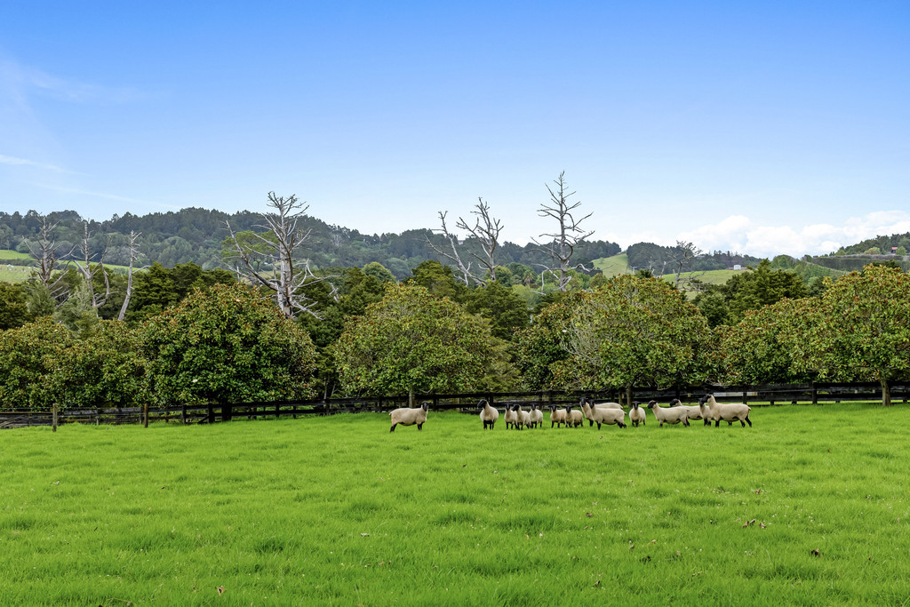 A Remarkable Matakana Lifestyle Retreat