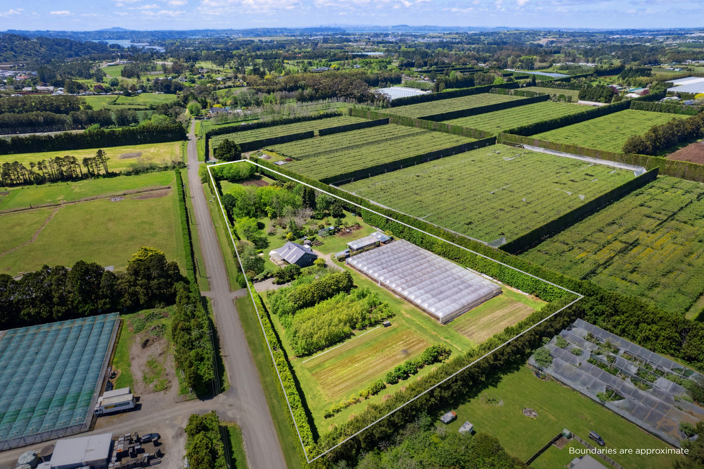 Stunning Lifestyle and Business Opportunity