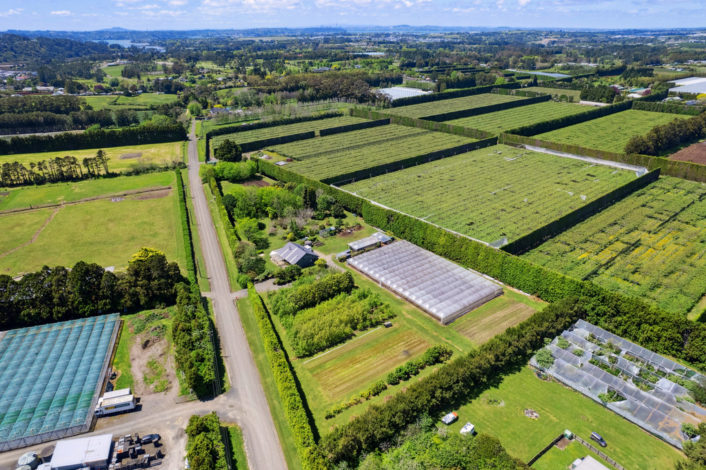 Stunning Lifestyle and Business Opportunity